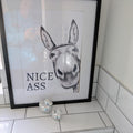 Nice Ass Funny Donkey Digital Artwork