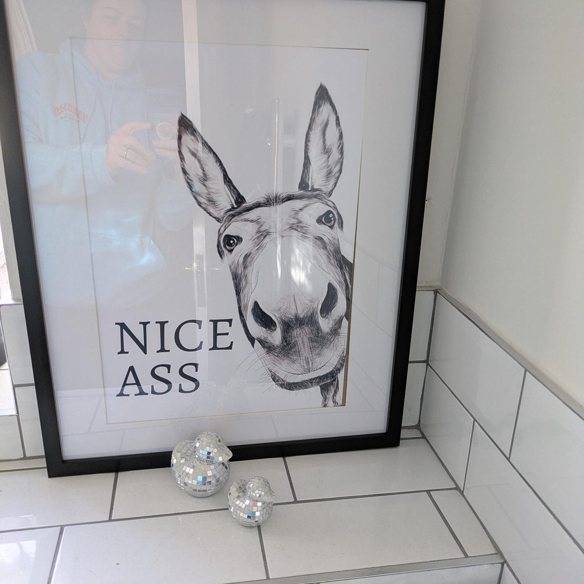 Nice Ass Funny Donkey Digital Artwork
