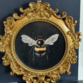 Bumblebee Digital Art Print