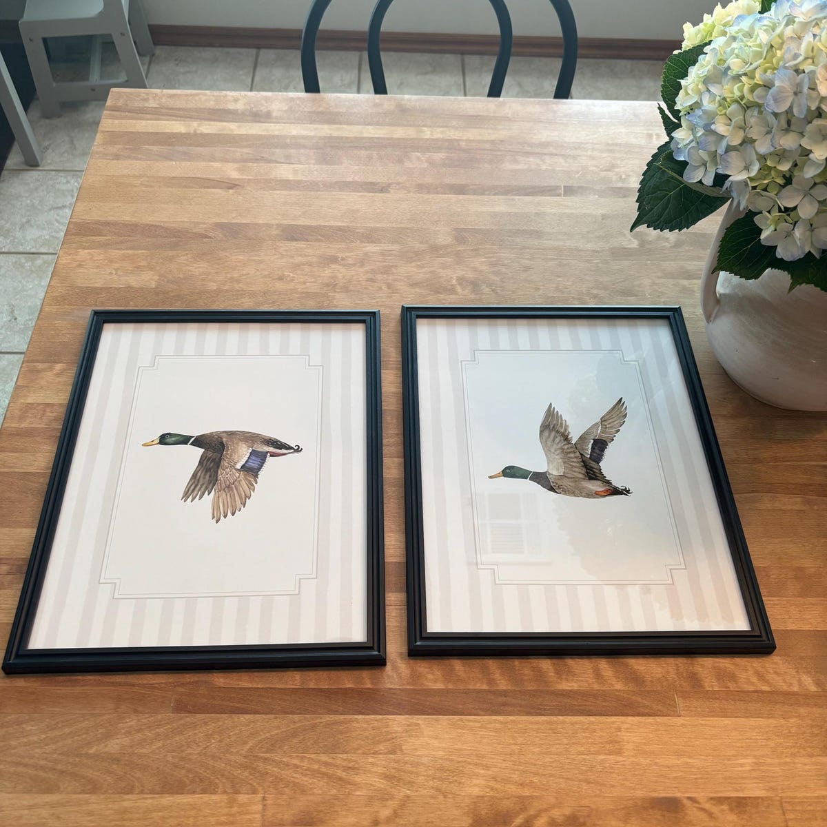 Vintage Flying Mallard Ducks Digital Art Set