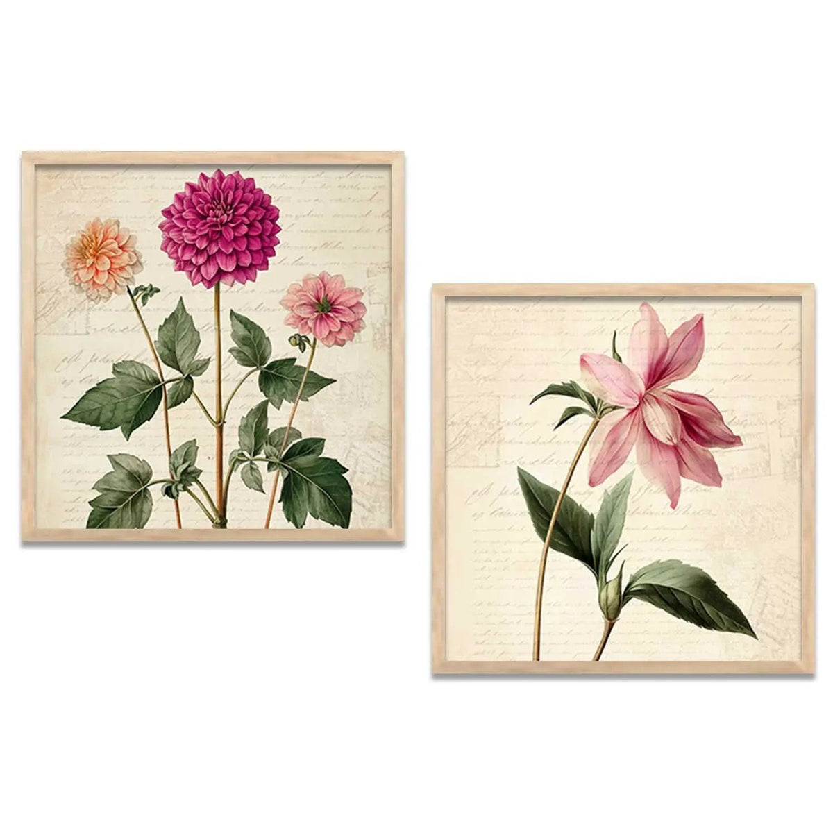 Vintage Botanical Floral Digital Art Prints