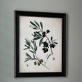Vintage Botanical Olive Branch Digital Art