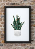 Golden Vein Snake Plant Digital Art