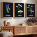 Botanical Herb Trio Digital Art Set