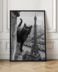 Parisian Black Cat High-Resolution Digital Artwork