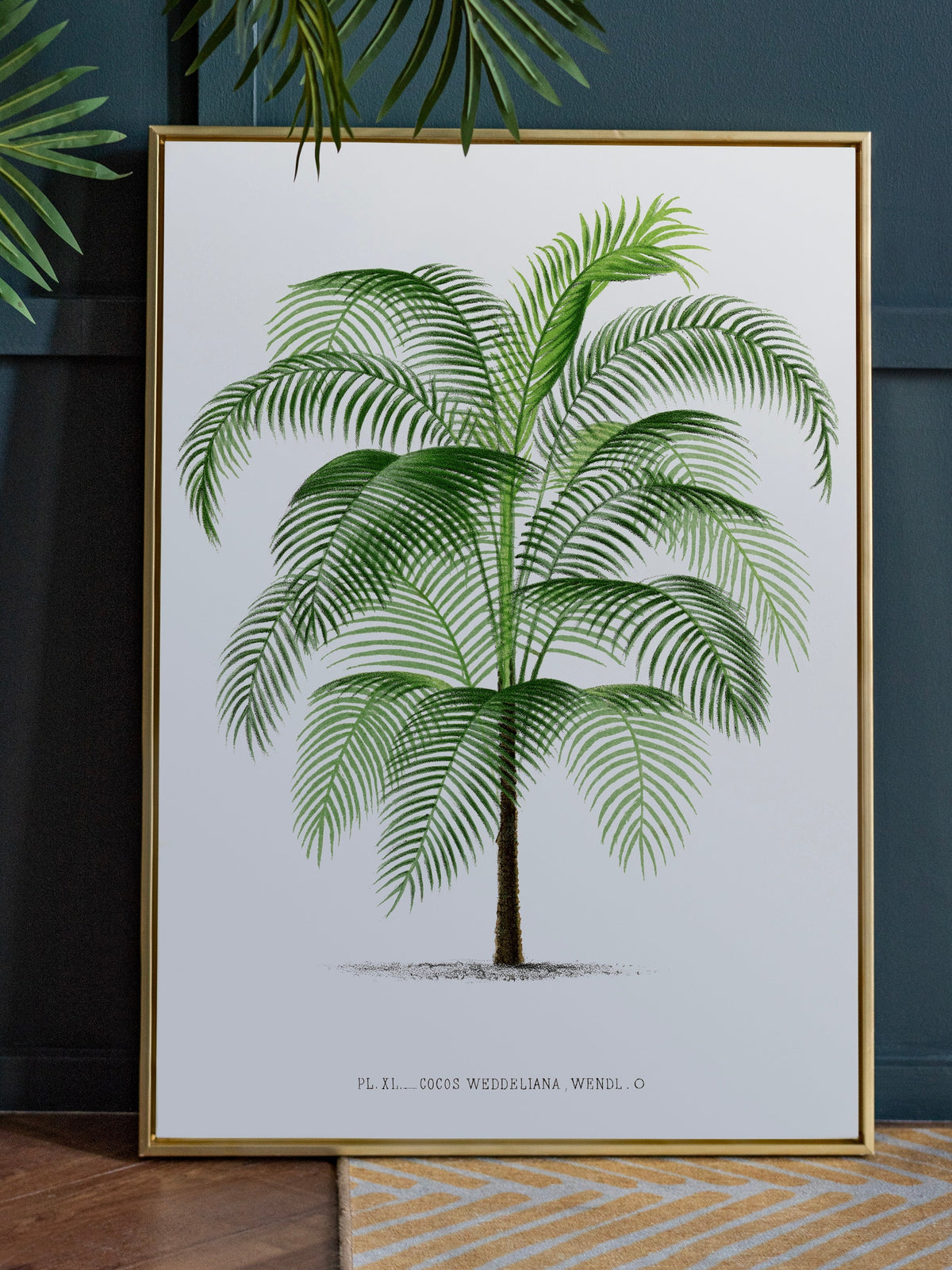 Botanical Palm Tree Digital Art
