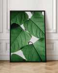 Emerald Leaf Canopy Digital Art