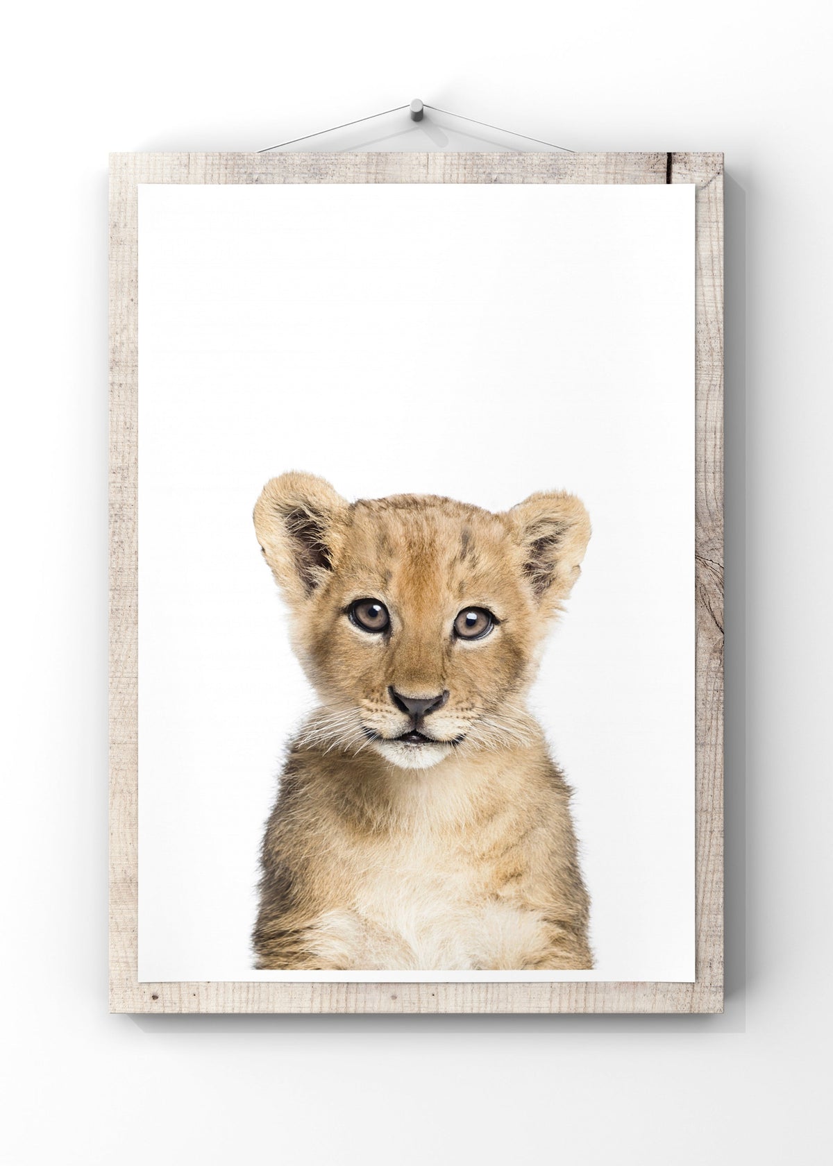 Sweet Baby Lion Digital Print