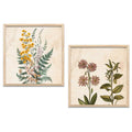 Vintage Botanical Wildflowers Digital Art Set
