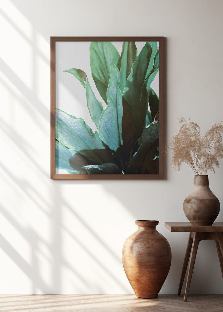 Verdant Tropics Botanical Digital Art