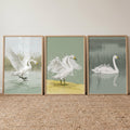 Graceful Swans Triptych Digital Art