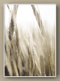 Golden Wheat Sunset Digital Art