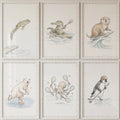 Whimsical Sports Animals Digital Art Collection Set