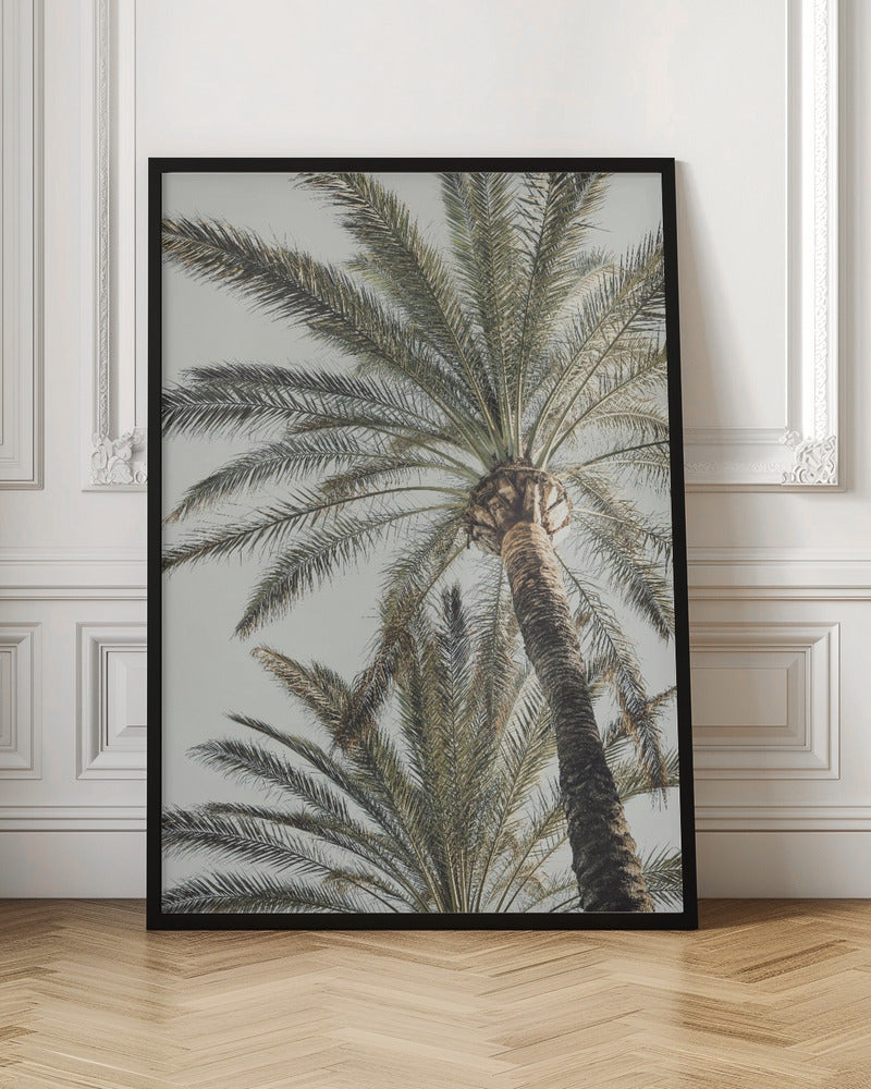 Tropical Palm Tree Digital Wall Art