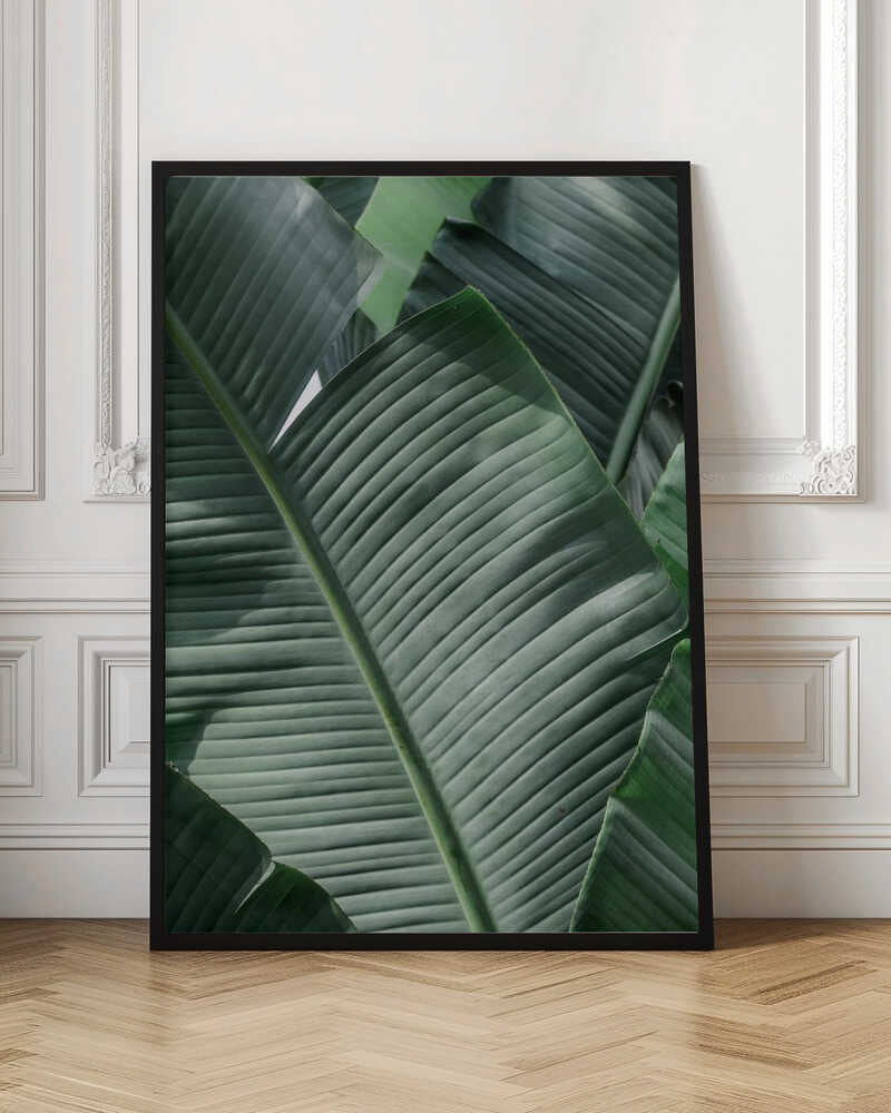 Lush Tropical Palm Leaf Digital Wall Art