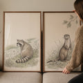 Charming Woodland Raccoon and Otter Digital Art Set