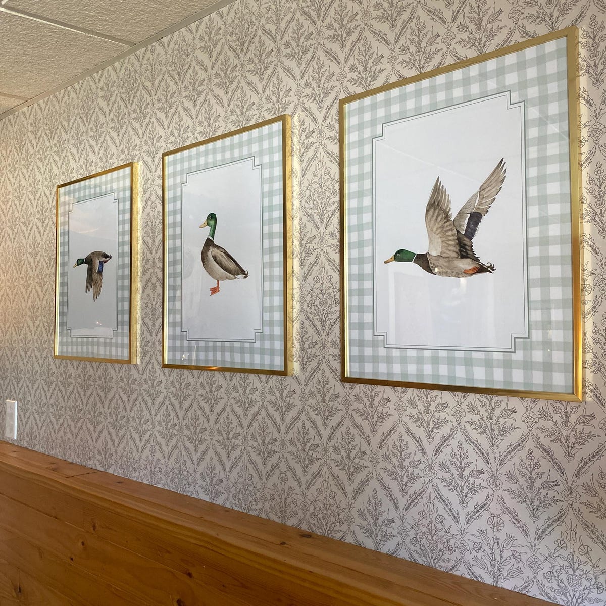 Vintage Mallard Duck Digital Art Trio