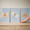Watercolor Cute Bugs Digital Art Trio