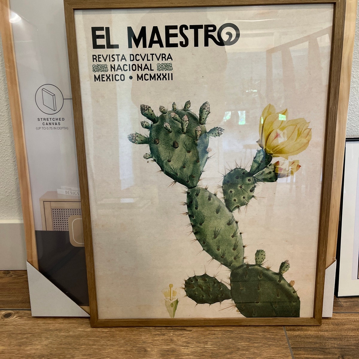 El Maestro Cactus Botanical Digital Artwork