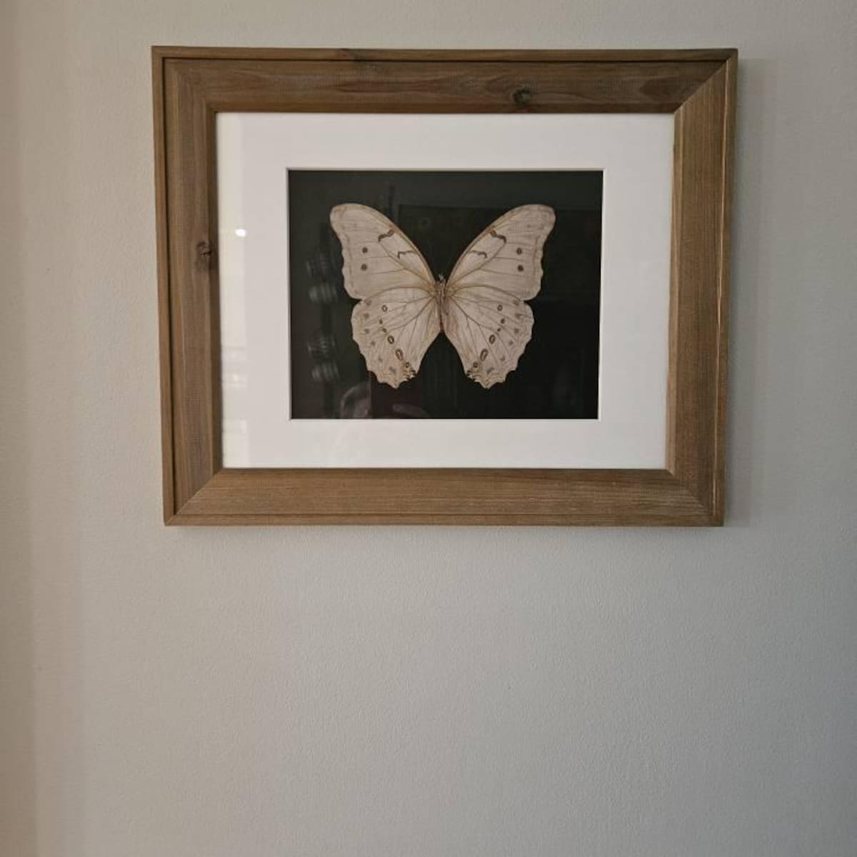 Elegance in Ivory Butterfly Digital Art