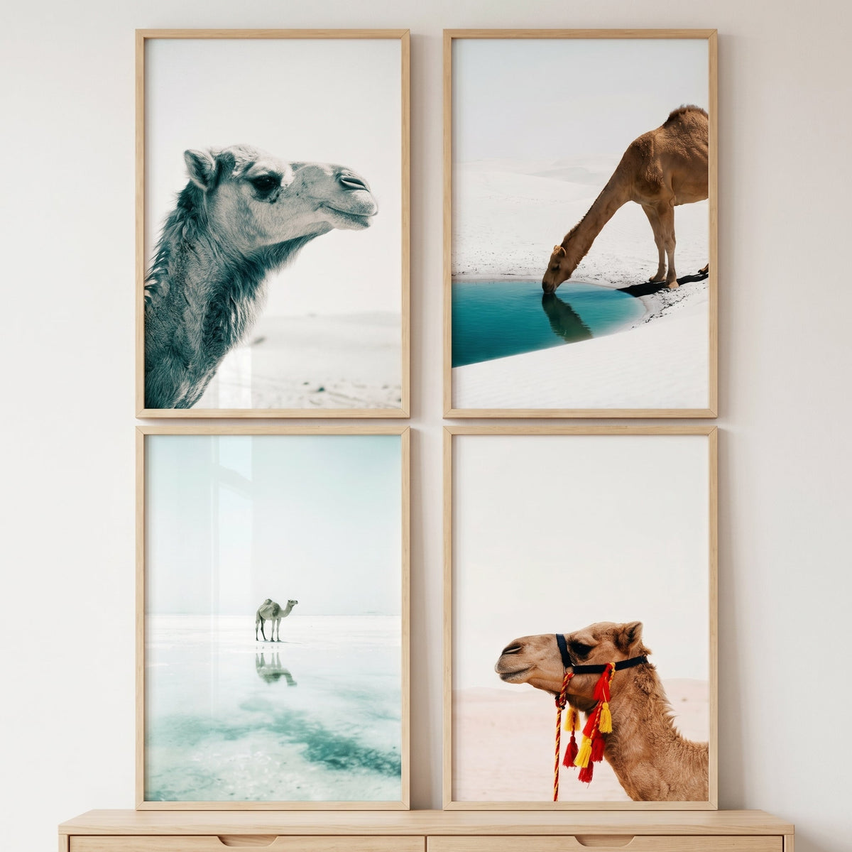 Desert Camel Quad Wall Art Set