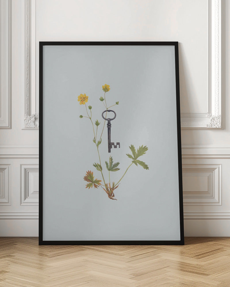 Botanical Key Digital Artwork