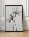 Ethereal Botanical X-Ray Floral Digital Art