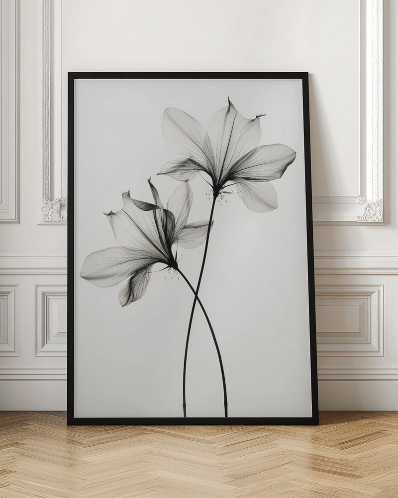 Ethereal Botanical X-Ray Floral Digital Art