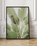 Ethereal Banana Leaves Digital Art Print