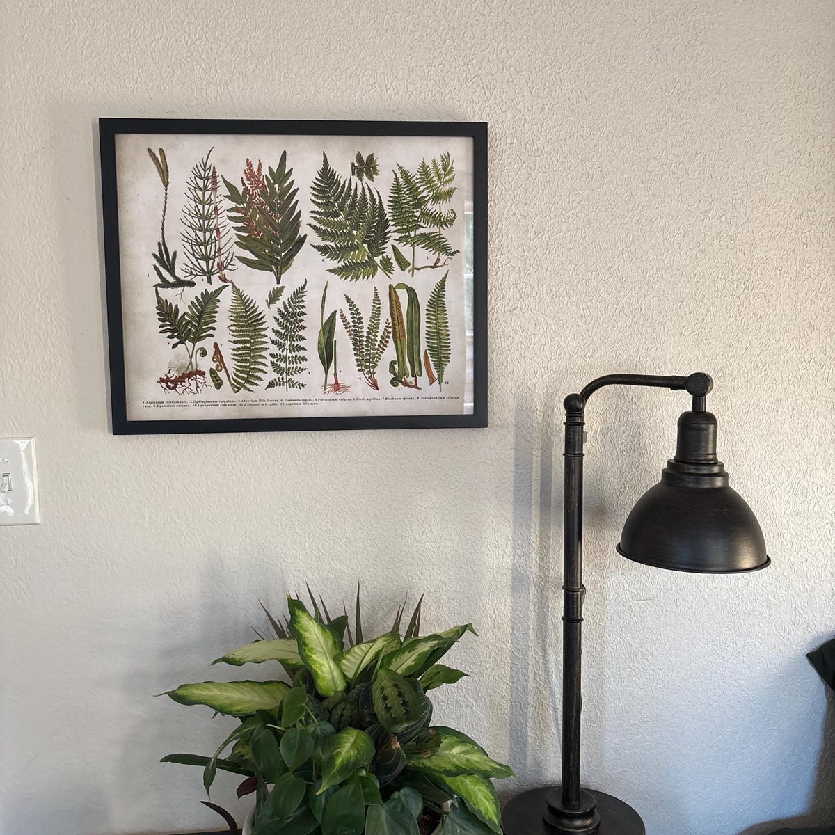 Vintage Botanical Ferns Digital Art Print