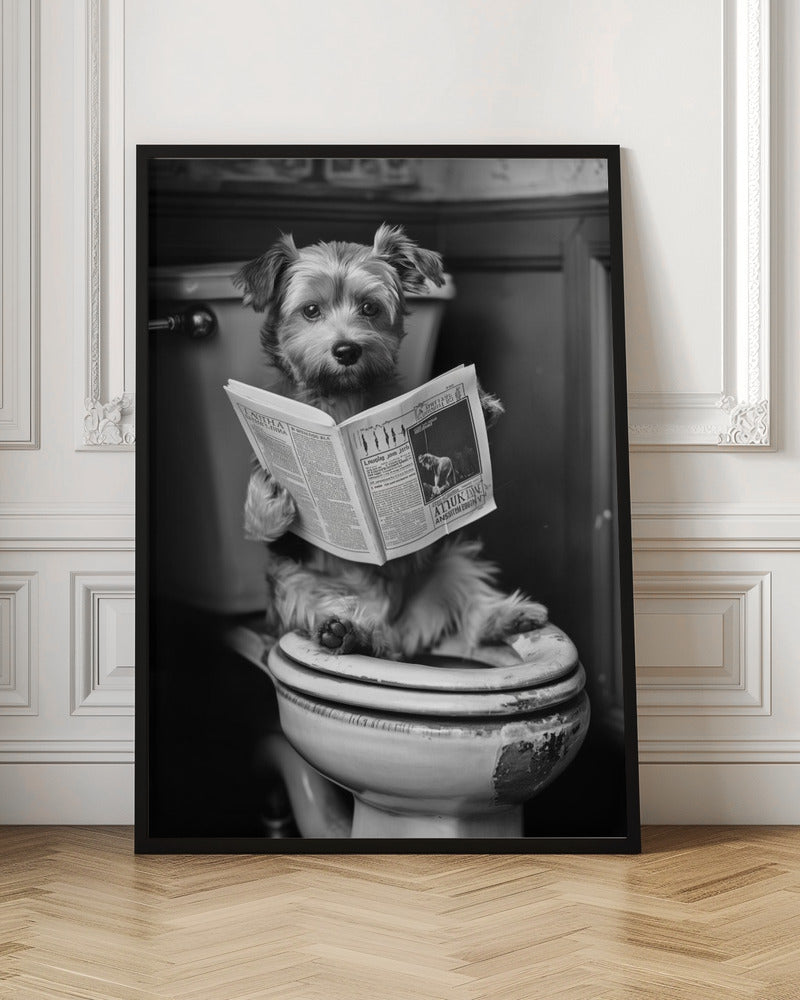 Funny Dog Reading Newspaper on Toilet Black and White Photography