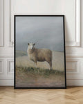 Solitary Sheep Pastoral Landscape