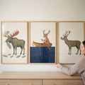 Whimsical Woodland Animals Digital Art Set