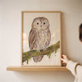Charming Woodland Owl Digital Artwork