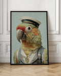 Captain Parrot Digital Art