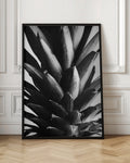 Monochrome Pineapple Macro Digital Art