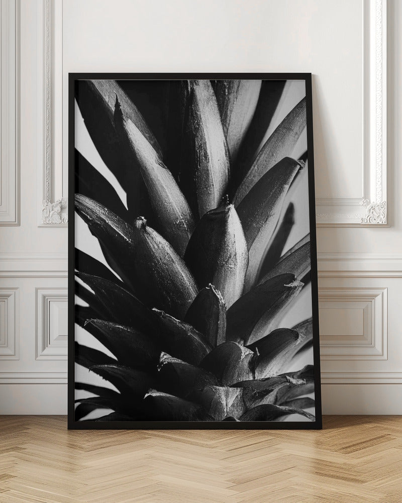 Monochrome Pineapple Macro Digital Art