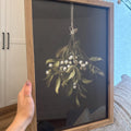 Hanging Mistletoe Digital Artwork
