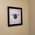 Vintage Bumblebee Botanical Illustration