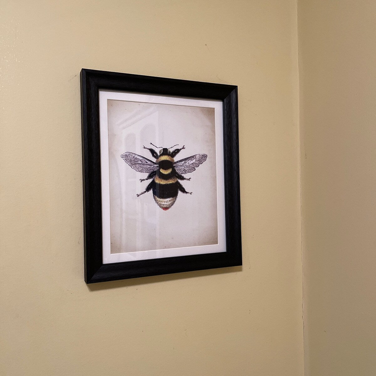 Vintage Bumblebee Botanical Illustration