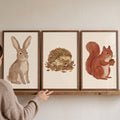 Woodland Friends Animal Trio Digital Art Prints