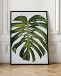 Dew Kissed Monstera Leaf Digital Artwork