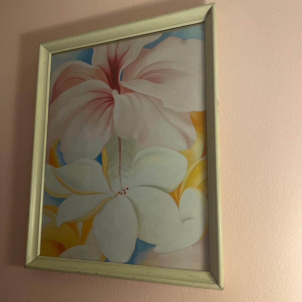 Blushing Hibiscus Floral Digital Art