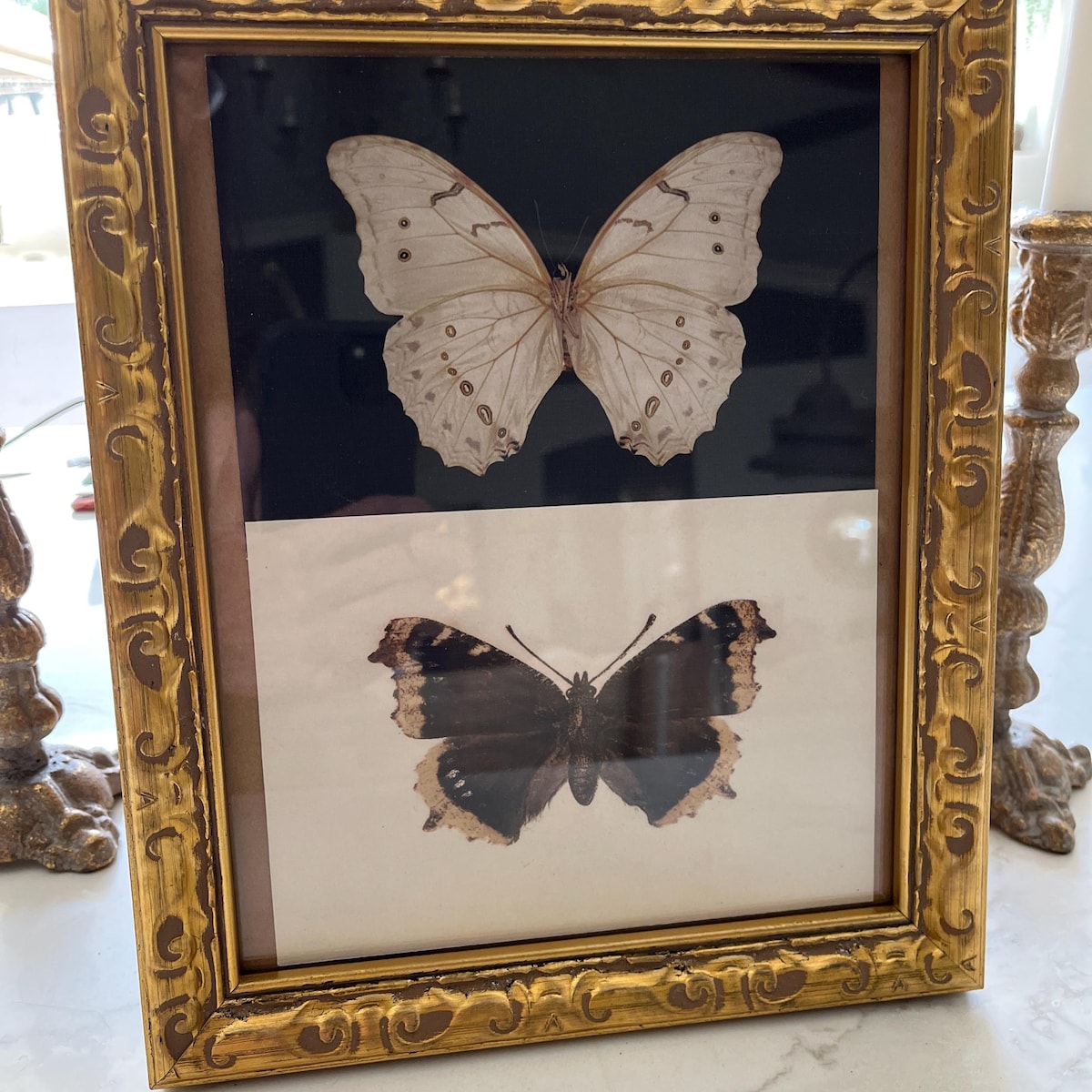 Vintage Butterfly Duo High-Resolution Digital Art