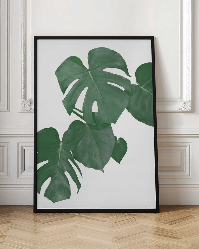 Minimalist Monstera Leaf Botanical Digital Art