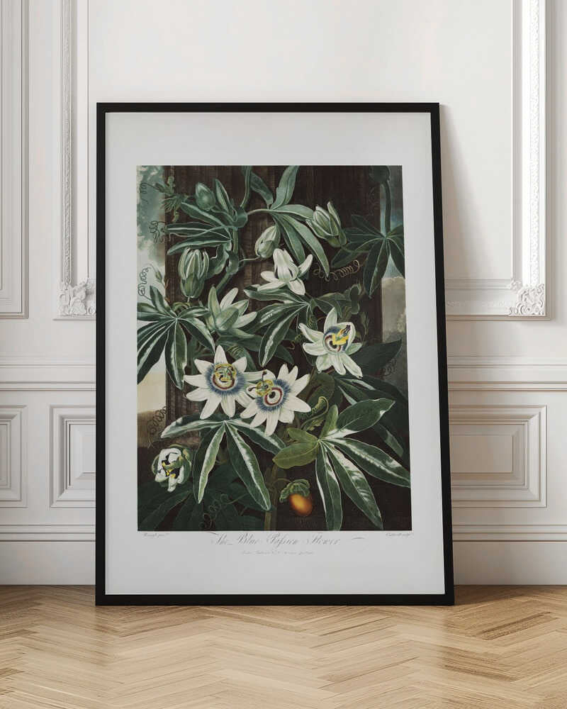 Vintage Botanical Passion Flower Digital Art