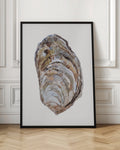 Watercolor Oyster Shell Digital Art