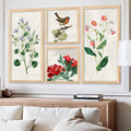 Vintage Botanical and Bird Gallery Set