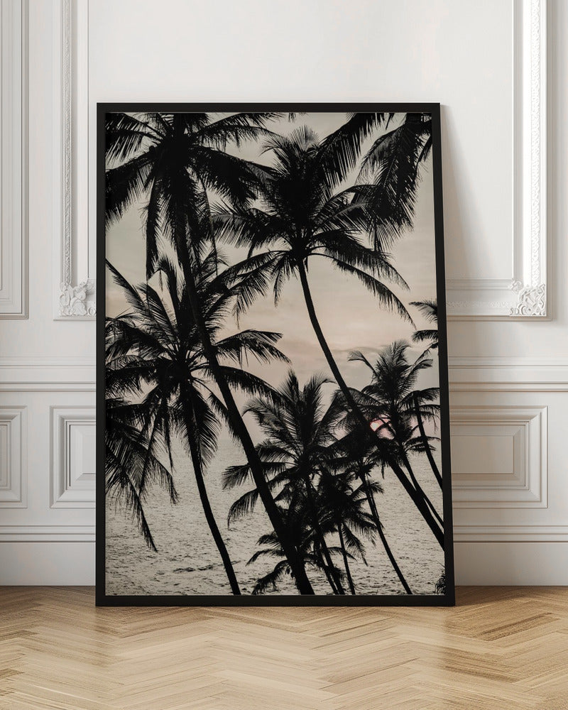 Monochrome Palm Tree Sunset Digital Art