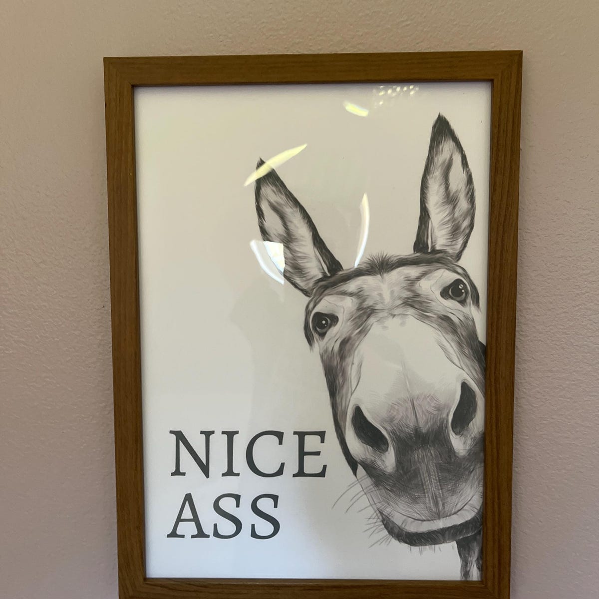 Nice Ass Donkey Funny Digital Wall Art